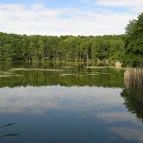 Ágneslak Fogadó és Vadászház Ökoturisztikai Centrum Csurgónagymarton - Környék