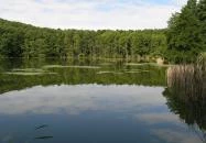 Ágneslak Fogadó és Vadászház Ökoturisztikai Centrum Csurgónagymarton