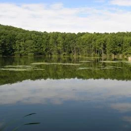 Ágneslak Fogadó és Vadászház Ökoturisztikai Centrum, Csurgónagymarton - Környék