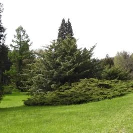 Agostyáni Arborétum Agostyán - Külső kép