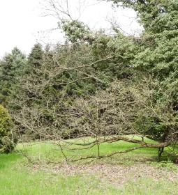 Agostyáni Arborétum