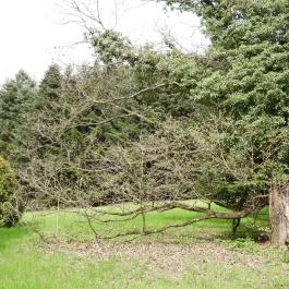 Agostyáni Arborétum Agostyán - Külső kép
