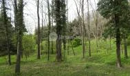 Agostyáni Arborétum Agostyán - Külső kép
