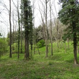 Agostyáni Arborétum Agostyán - Külső kép