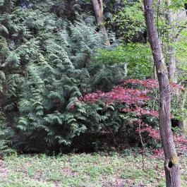 Agostyáni Arborétum Agostyán - Külső kép