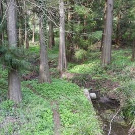 Agostyáni Arborétum Agostyán - Külső kép