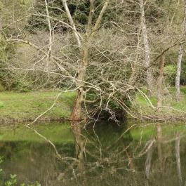 Agostyáni Arborétum Agostyán - Egyéb