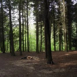 Agostyáni Arborétum Agostyán - Külső kép