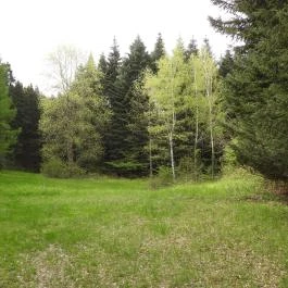 Agostyáni Arborétum Agostyán - Külső kép