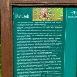 Agostyáni Arborétum Agostyán - Egyéb