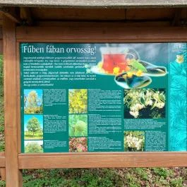 Agostyáni Arborétum Agostyán - Egyéb