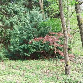 Agostyáni Arborétum Agostyán - Külső kép