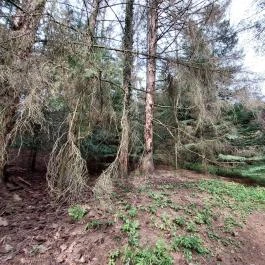 Agostyáni Arborétum Agostyán - Külső kép