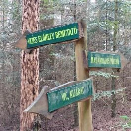 Agostyáni Arborétum Agostyán - Egyéb