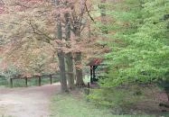 Agostyáni Arborétum Agostyán