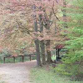 Agostyáni Arborétum Agostyán - Külső kép