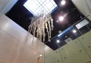 Agroverzum Tudományos Élményközpont Martonvásár