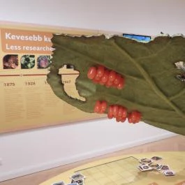 Agroverzum Tudományos Élményközpont Martonvásár - Egyéb