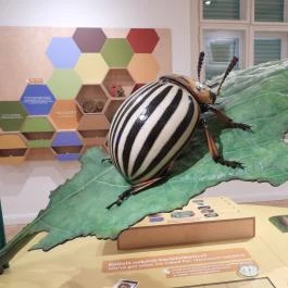 Agroverzum Tudományos Élményközpont Martonvásár - Egyéb