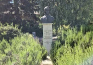 Albert Kázmér Ágoston mellszobra Budapest