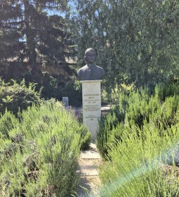 Albert Kázmér Ágoston mellszobra
