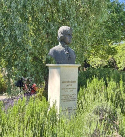 Albert Kázmér Ágoston mellszobra