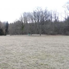 Alcsúti Arborétum Alcsútdoboz - Külső kép