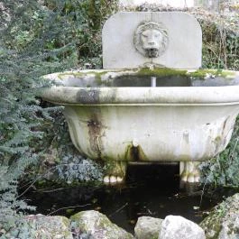 Alcsúti Arborétum Alcsútdoboz - Egyéb