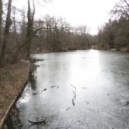 Alcsúti Arborétum Alcsútdoboz - Külső kép