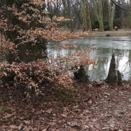 Alcsúti Arborétum Alcsútdoboz - Külső kép