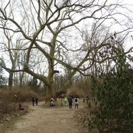 Alcsúti Arborétum Alcsútdoboz - Külső kép