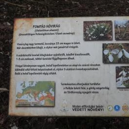 Alcsúti Arborétum Alcsútdoboz - Egyéb