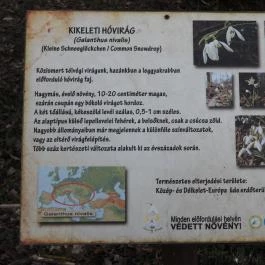 Alcsúti Arborétum Alcsútdoboz - Egyéb