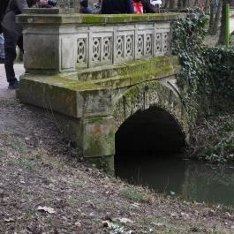 Alcsúti Arborétum Alcsútdoboz - Egyéb