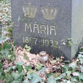 Alcsúti Arborétum Alcsútdoboz - Egyéb