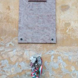 Alcsúti Arborétum Alcsútdoboz - Egyéb