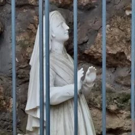 Alcsúti Arborétum Alcsútdoboz - Egyéb