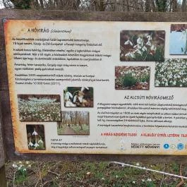 Alcsúti Arborétum Alcsútdoboz - Egyéb