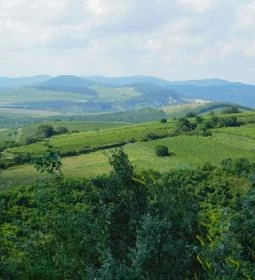 Áldó Krisztus szobor