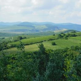 Áldó Krisztus szobor Tarcal - Egyéb