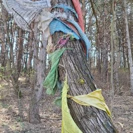 Álomvölgy Megvilágosodás Sztúpa Piliscsaba - Egyéb