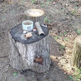 Álomvölgy Megvilágosodás Sztúpa Piliscsaba - Egyéb