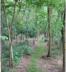 Alsómocsoládi kilátó