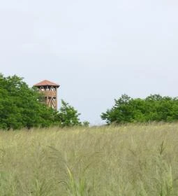 Alsómocsoládi kilátó