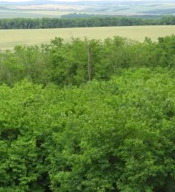 Alsómocsoládi kilátó