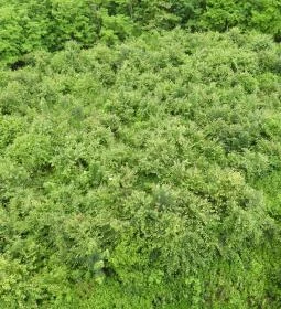 Alsómocsoládi kilátó