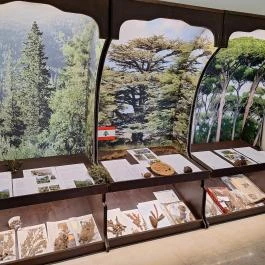 Amadé - Bajzáth - Pappenheim Kastély Iszkaszentgyörgy - Egyéb