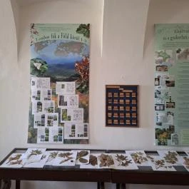 Amadé - Bajzáth - Pappenheim Kastély Iszkaszentgyörgy - Belső