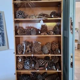 Amadé - Bajzáth - Pappenheim Kastély Iszkaszentgyörgy - Egyéb