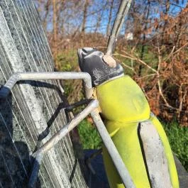 Amerikai kukoricabogár szobor Battonya - Egyéb